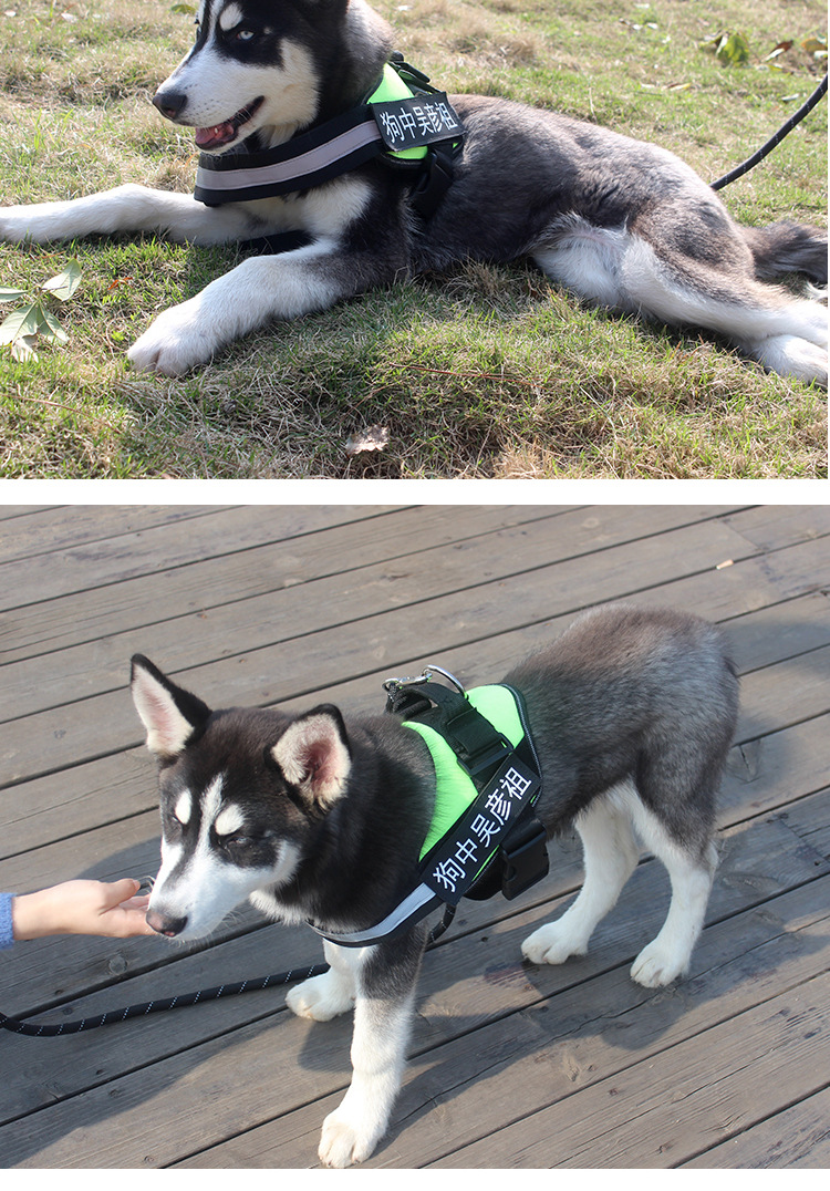 QQ图片20180421170629