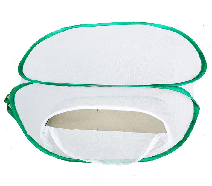 9224750704_583349947