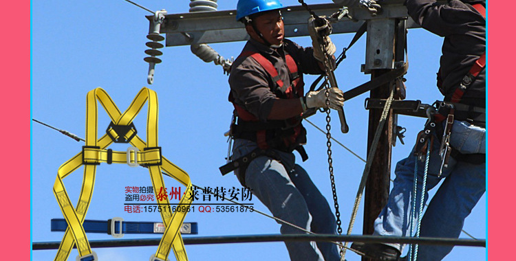 LPT涤纶五点式带详情_02.jpg