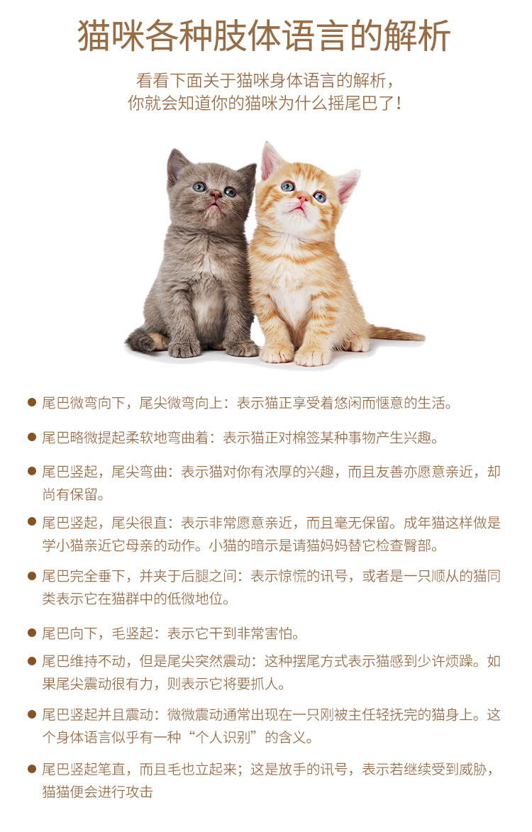 响纸逗猫棒详情页_10.jpg