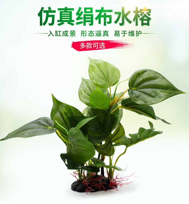 仿真绢布水榕_01.jpg