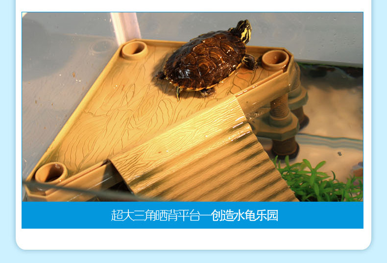 TB2h8oEcVXXXXawXXXXXXXXXXXX_!!