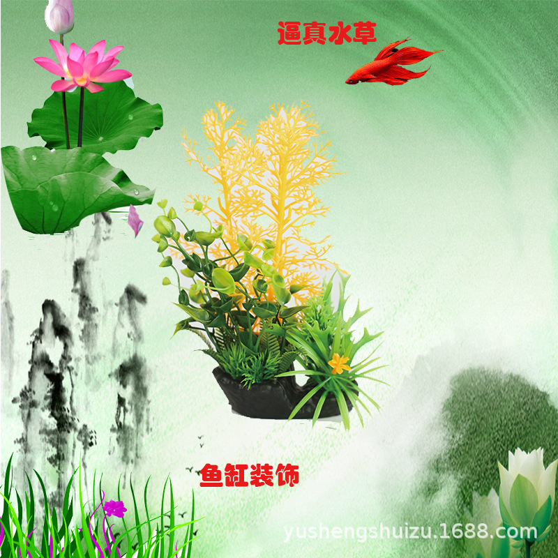 8123                        24