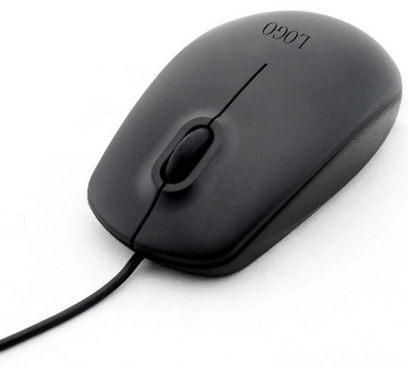 3152496960_278873806_副本_副本