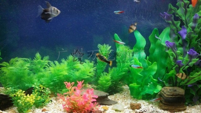 imagelock:3;k:r;s:J/x3zZmo8SxWIF8LKShyvD7nNAkN64SY0kuO8+3Jl0NQ2SDeWjI5Zzj/SIB4zuQbcJhRhQxq0MJq2KdHuAO5MeL8Xg9RRyLQonlWwGFwEBddTZjndHEtHI322hlIYn9d