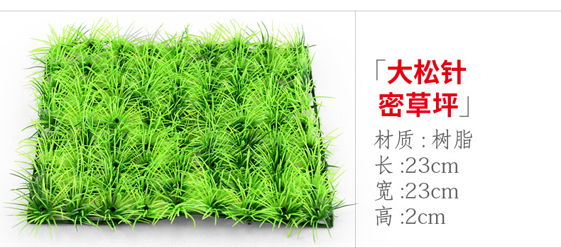 xq259 大松针密草坪.jpg