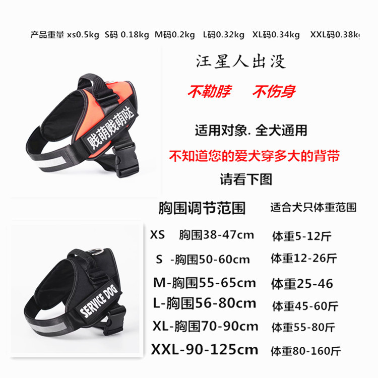 新建文件夹 (3)IMG_0532_副本