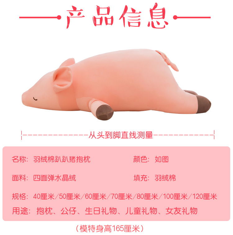 猪 (5).jpg