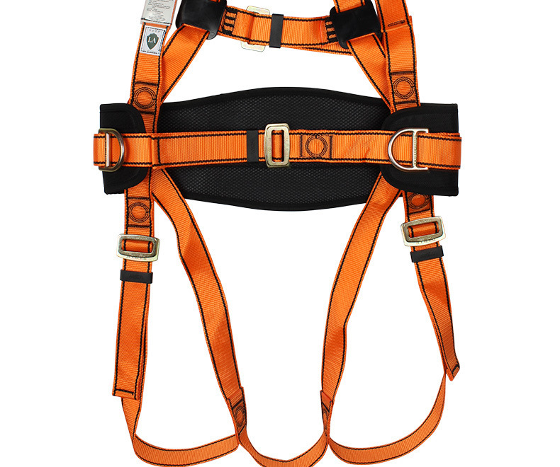 4063820542_533917649