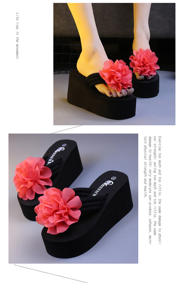 TB2jNGhigRkpuFjy1za_!!23753843