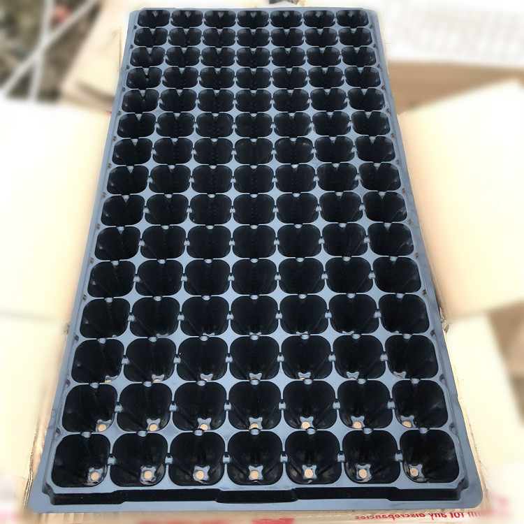 8B99D6CCCE1C0607937D9685A79278