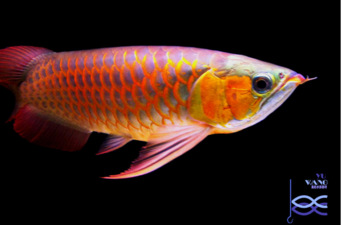 WeChat 圖片_20180405090017