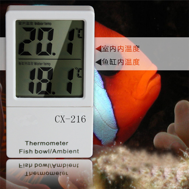 T1YSRpFuxaXXXXXXXX_!!2-item_pi