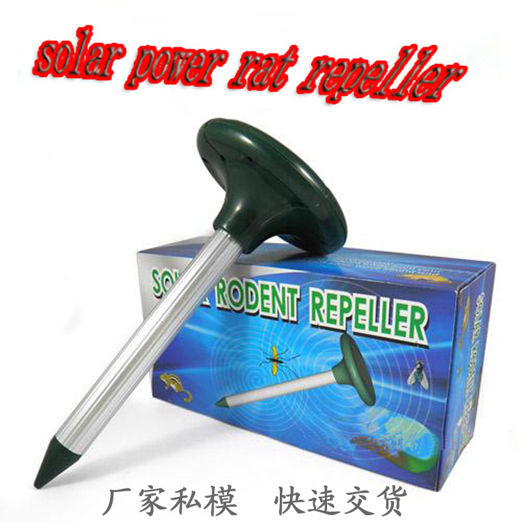 2220468546_119434156 拷贝