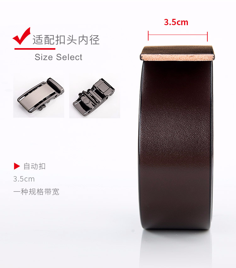 素面自动带_03.jpg