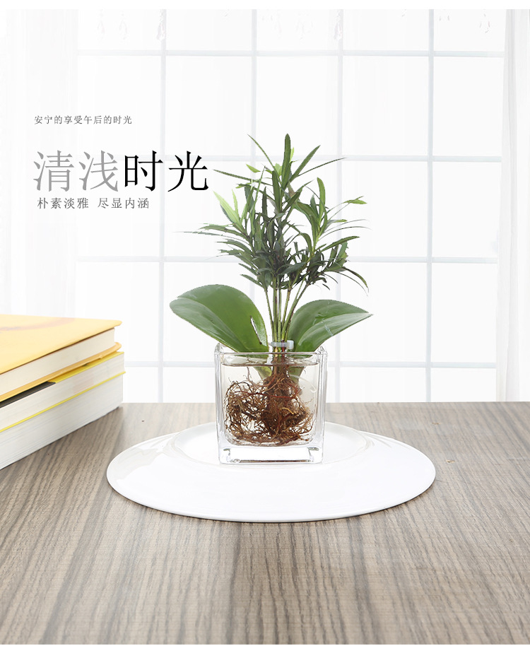 透明方缸详情_02.jpg?x-oss-process=image/format,png
