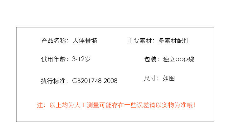 人体骨骼1_04.jpg