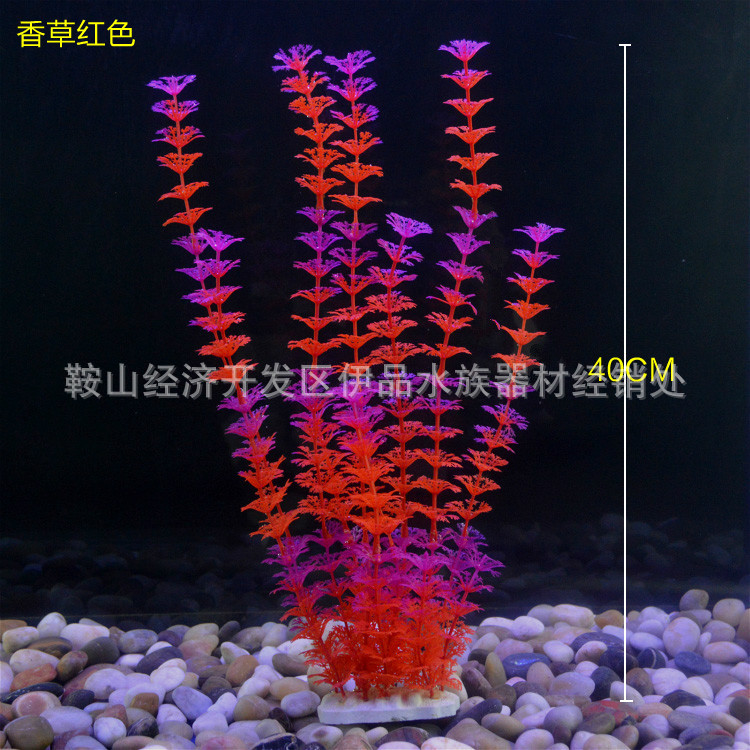 TB2wrnhirSYBuNjSspiXXXNzpXa_!!