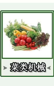笙辉销售 豆芽根刀菜搅切碎机仔姜毛竹笋打碎机 工厂