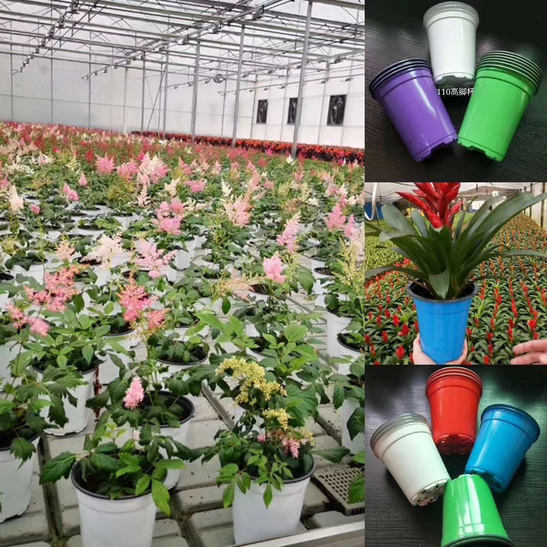 cfbafc0b8cc273b13d3bb40276b9e0