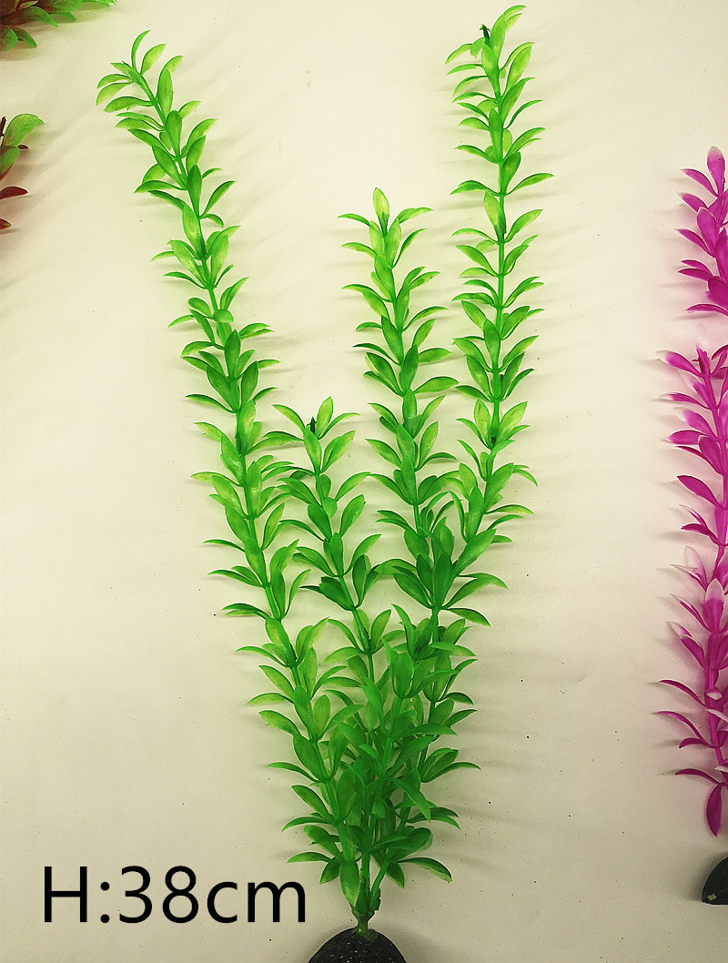 IMG_20190701_103708_副本