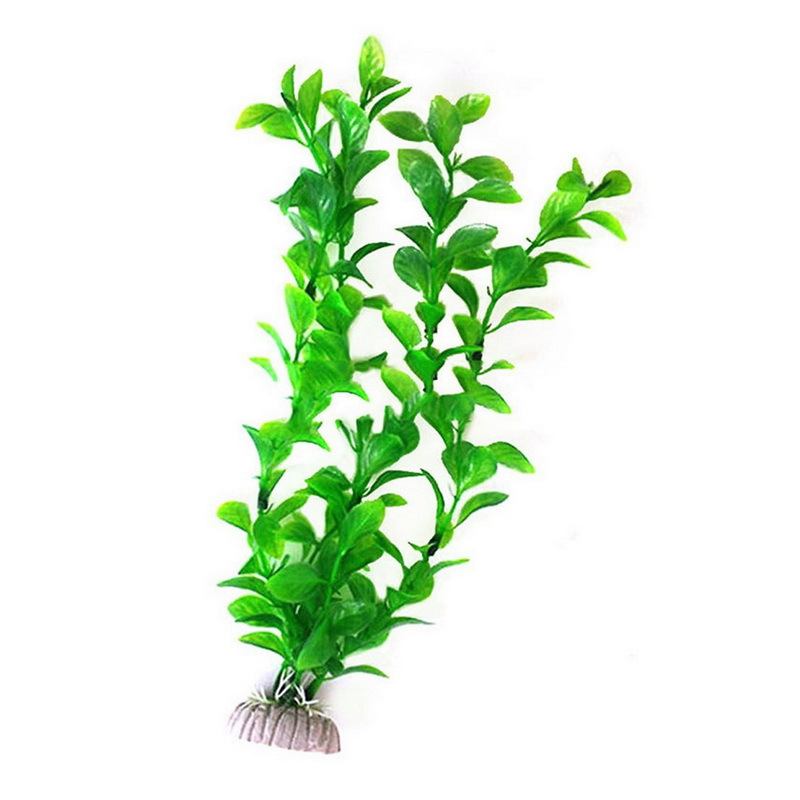 胖圆叶25cm绿色3