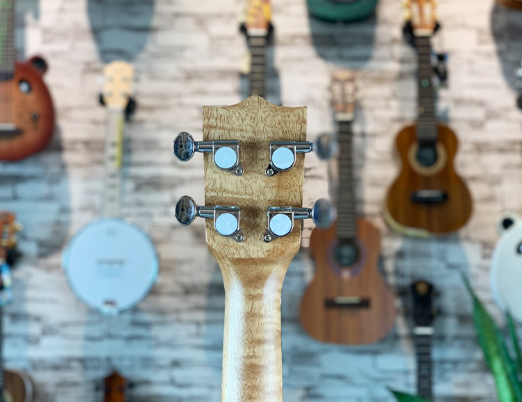 微信图片_20190618143233