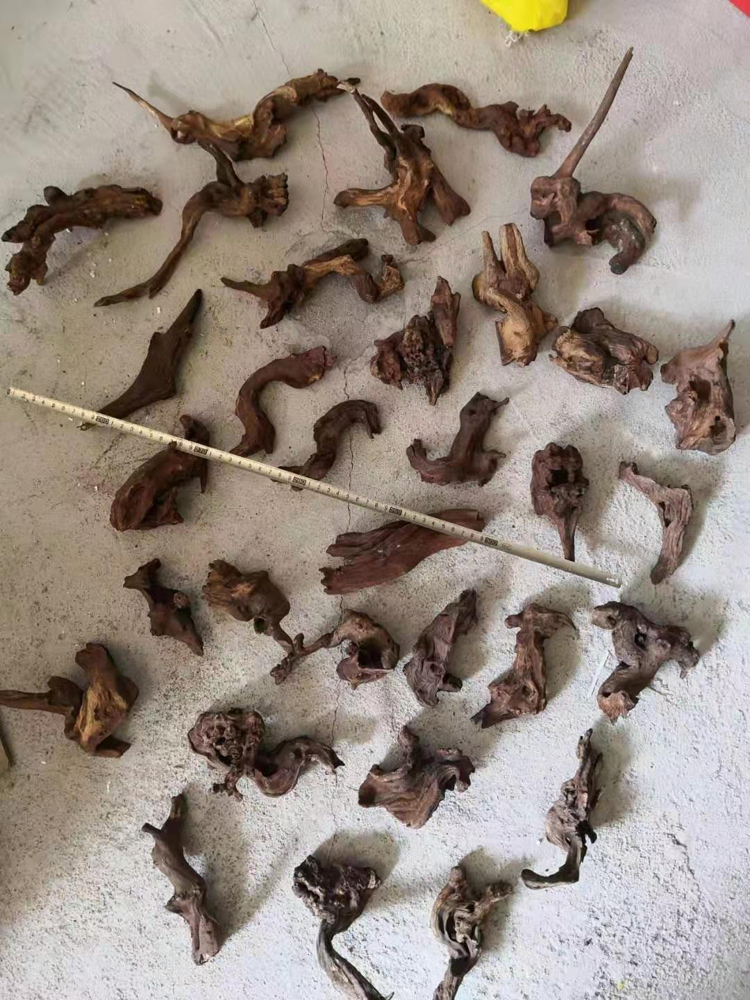 微信图片_20190926112650