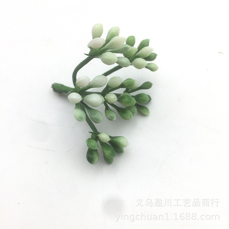 2019-07-20 083902.jpg