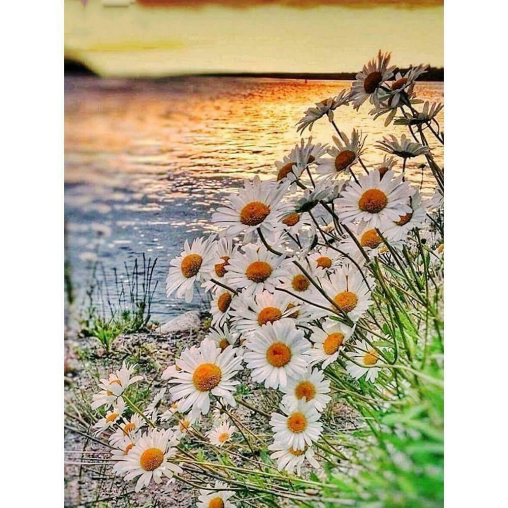 4444 30-40满钻 (8)