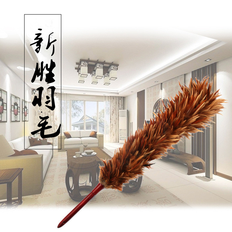 3310261583_1753694524