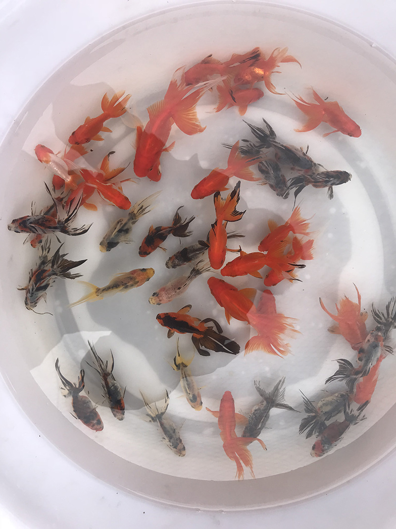 f2e4a23de6d18c4d03705cef1198fb