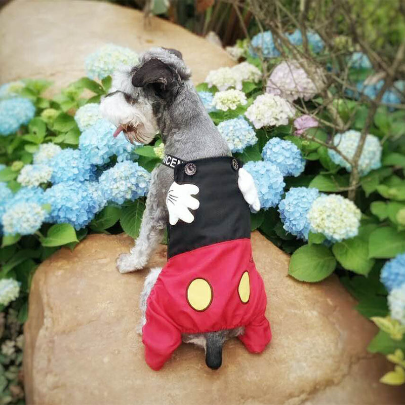 微信图片_20190525164345