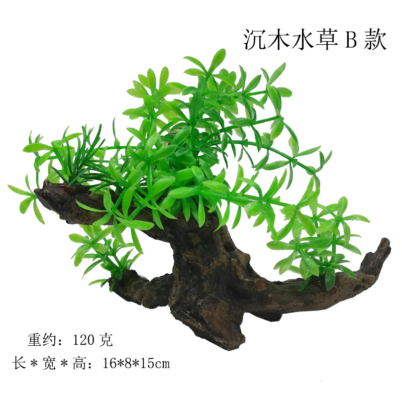 沉木水草B