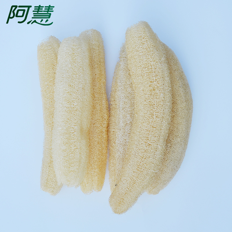 小丝瓜-7.jpg