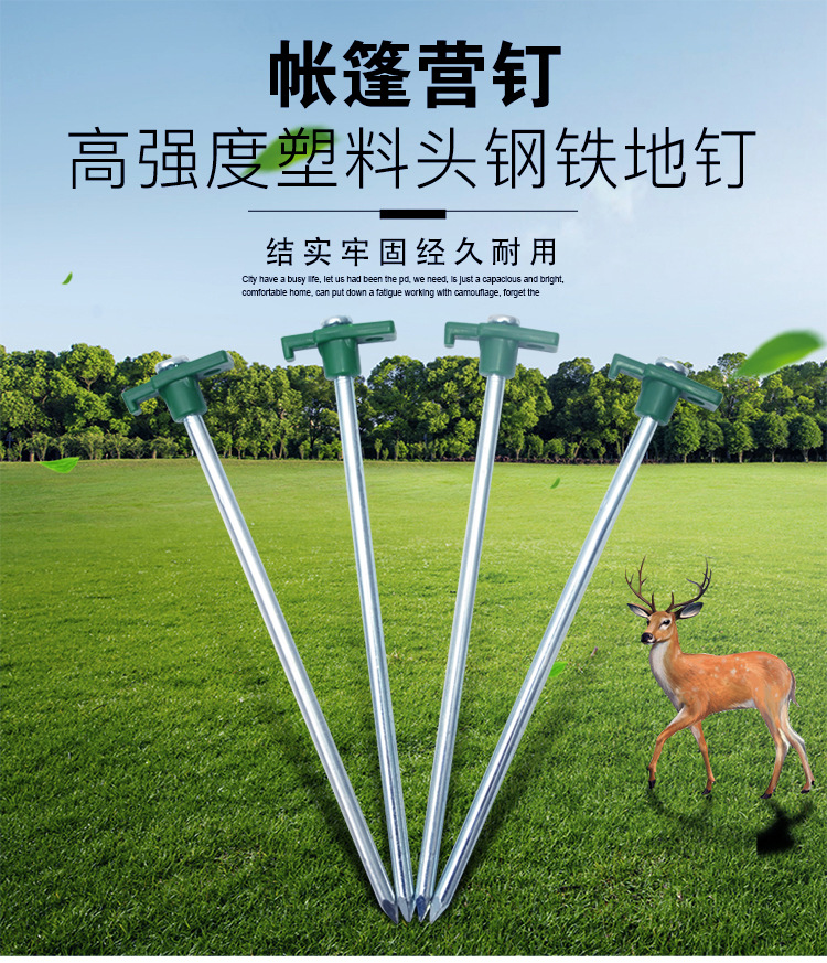 绿头地钉_01.jpg