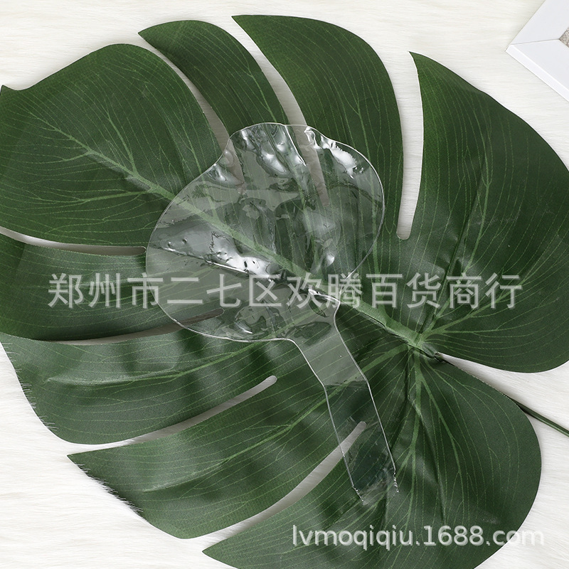 主图10寸波波球3.jpg
