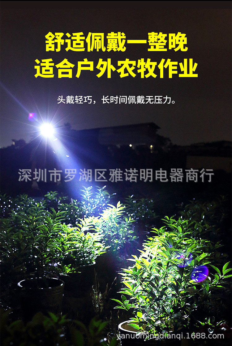 头灯_05.jpg