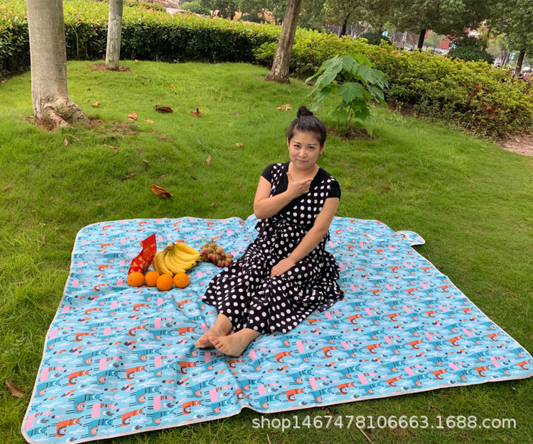 巴掌野餐垫