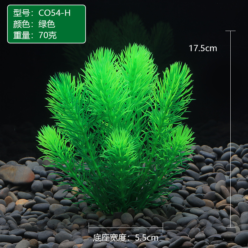 CO54-H绿色.JPG
