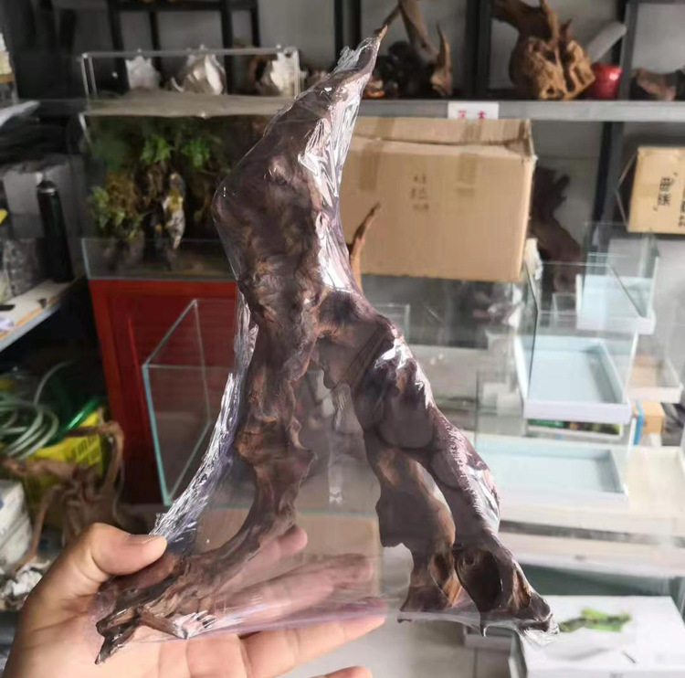 小沉木景观造景天然素材undefined
