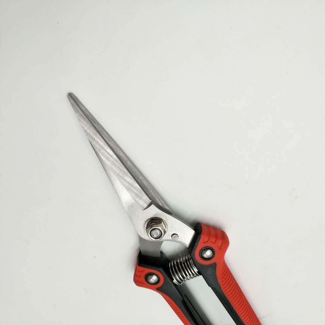 微信图片_20190502125634