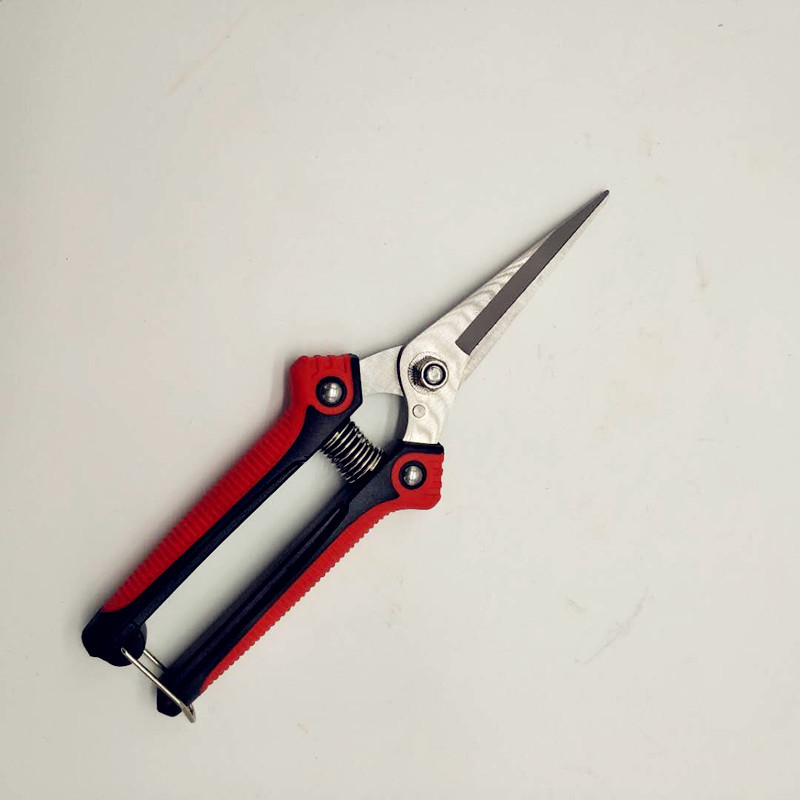 微信图片_20190502125625