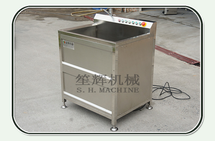 直销小型 豆芽根刀菜漂洗机仔姜毛竹笋超声波洗菜机 厂家