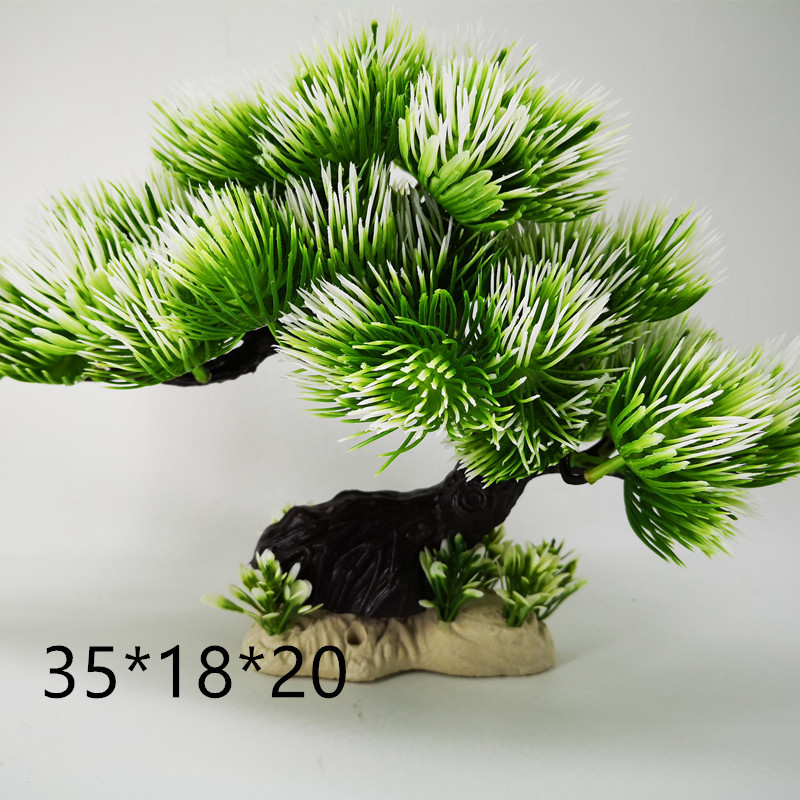 IMG_20190528_144355_副本