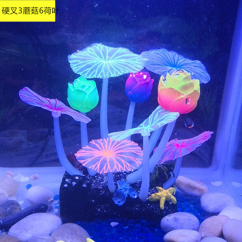 QQ图片20190712174240