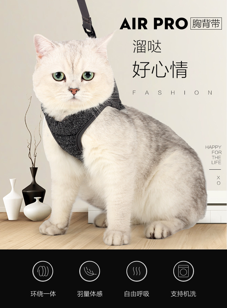 猫背带_01