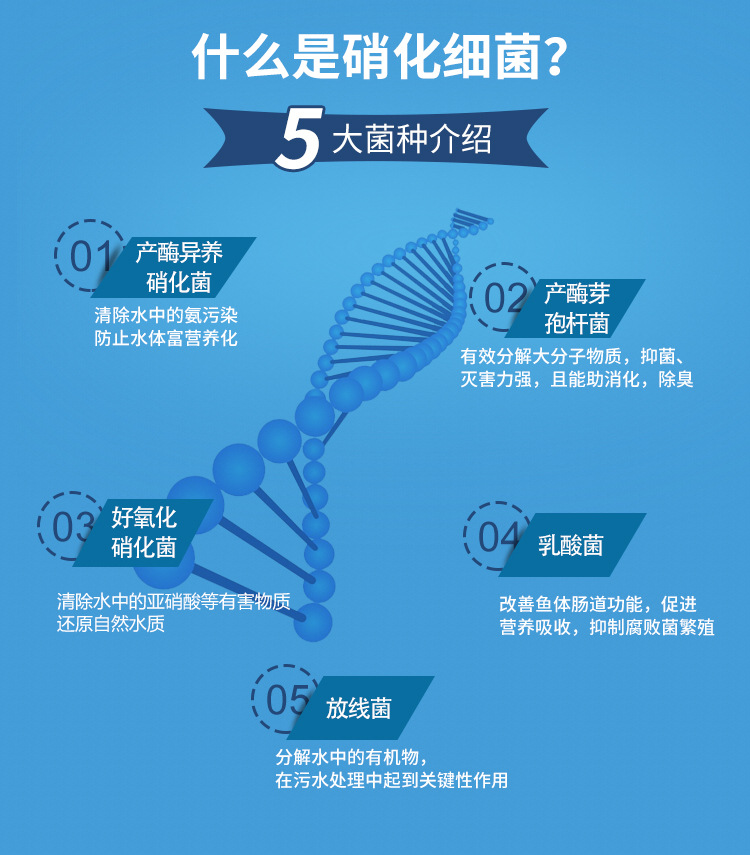 硝化细菌胶囊1_03