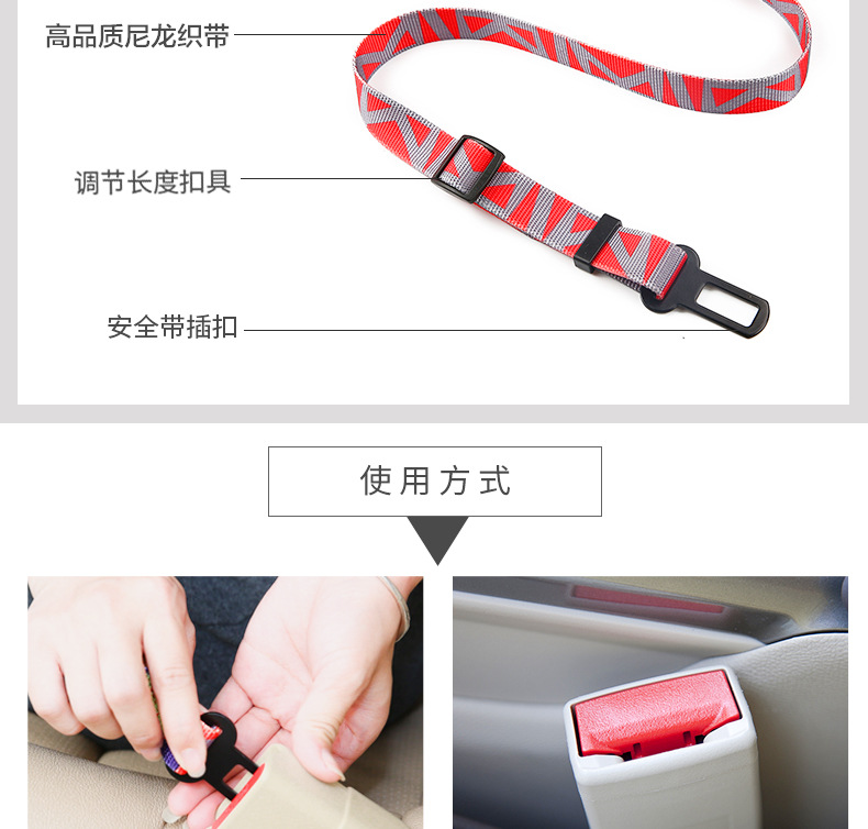 车载安全带_03