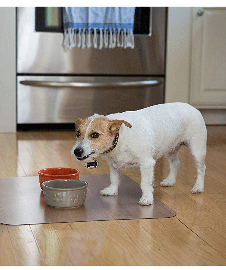 pvc透明地垫 (10)